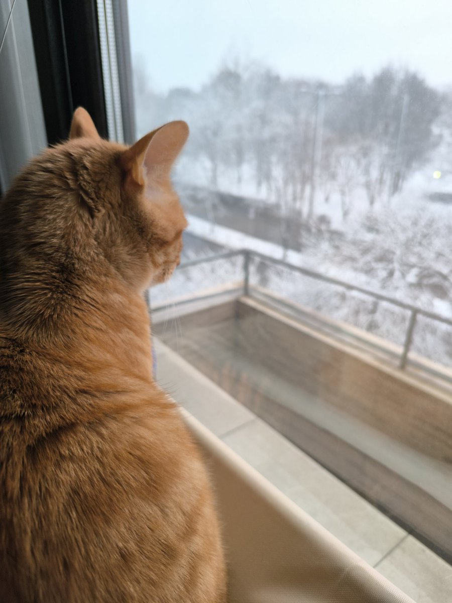 Amy (@amandaja93) on Twitter photo 