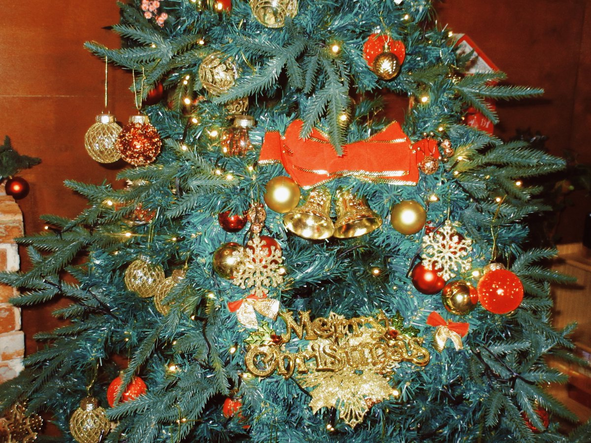 UNIS_offcl's tweet image. been a nice girl all year round 🎄🦌

#UNIS #유니스
#GEHLEE #젤리당카