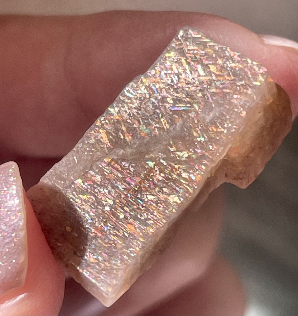 Kotoko (@Kotoko_f) / Posts / X