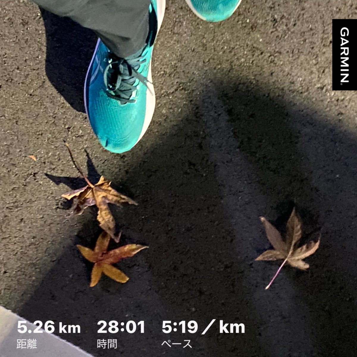 夜ランでした🏃
やっと走れたメリークリスマス🎄
爆忙年末にクリスマスじゃなきゃ良いのに。走れるこのちょっとした時間が最高のプレゼント🎁
さぁ明日も早い💦寝るぞー！

＃夜ラン
#ゲルニンバス27