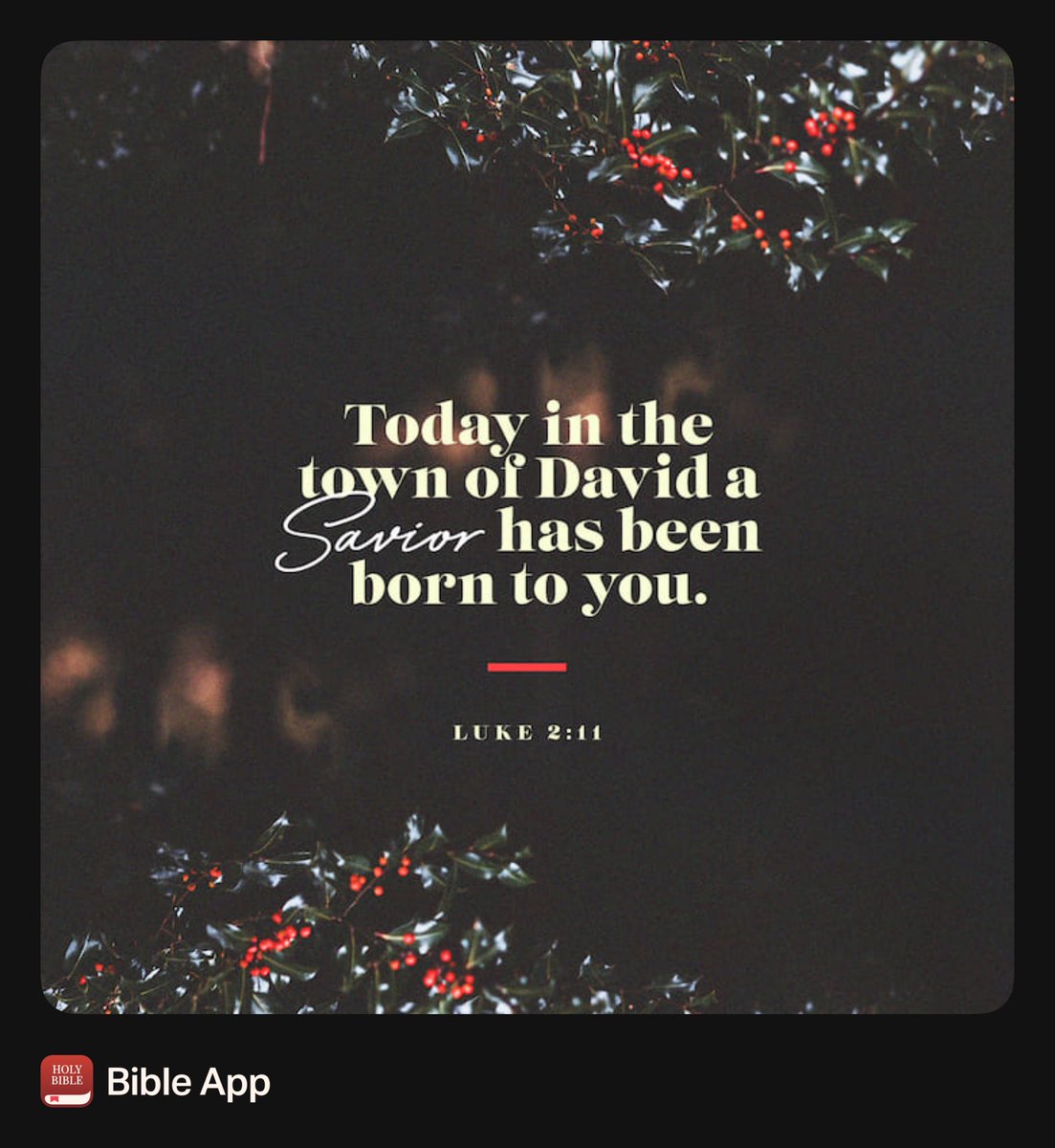 Professor_Pod's tweet image. Merry Christmas!