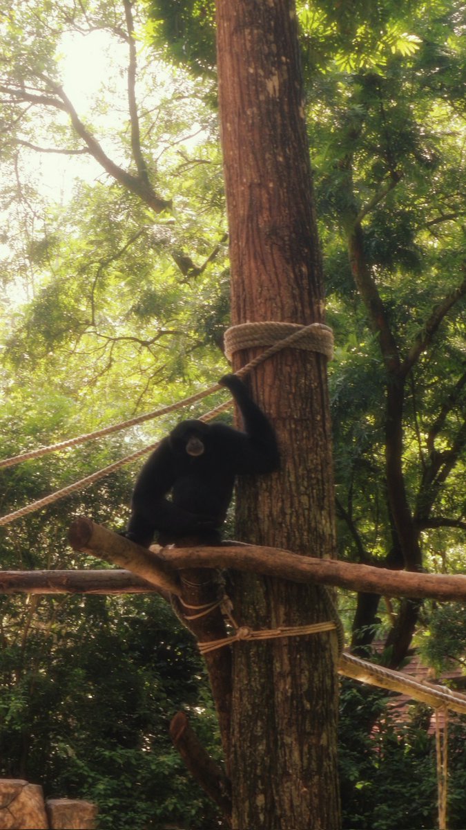 Zoe Hange tweet media