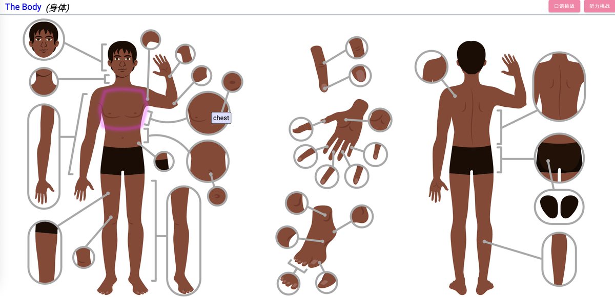 分享一个实用又清爽的英语学习网站：LanguageGuide。

它主打交互式语音词汇学习：通过图片+发音建立直觉联想，把鼠标移到图片或单词上，就能看到对应拼写并听到标准发音，减少对中文翻译的依赖，更接近“用外语理解外语”的学习方式。

网站地址：languageguide.org/%E8%8B%B1%E8%A…