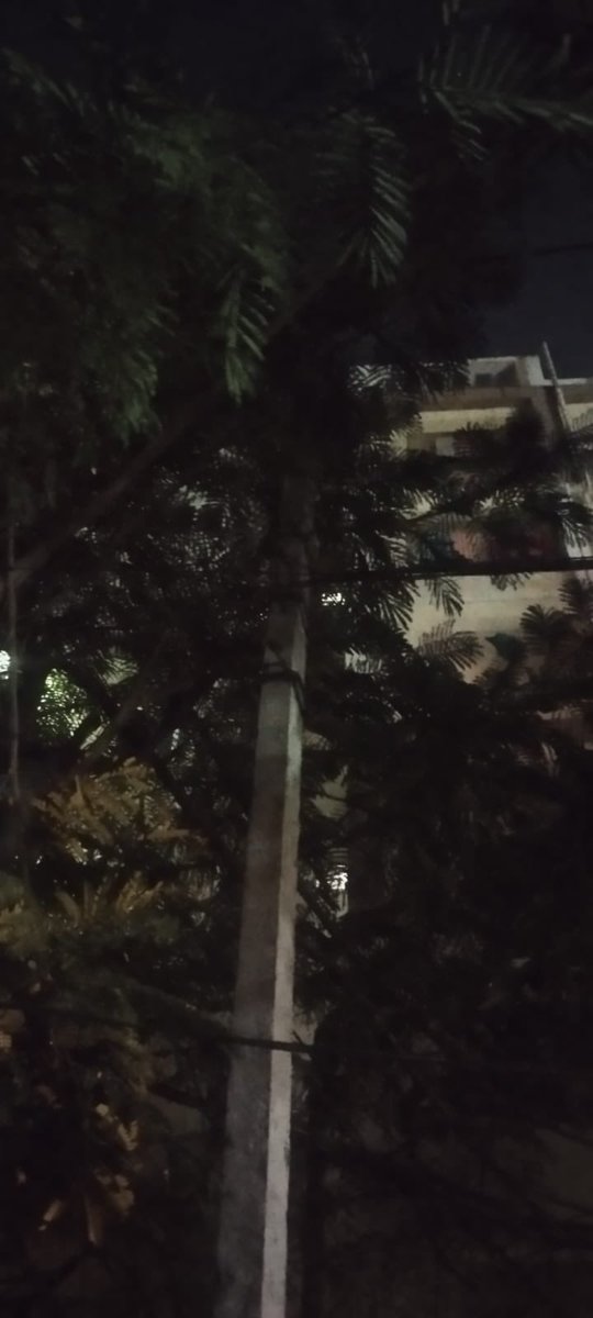 keshaboinasri's tweet image. 🚨 Public Safety Alert | Hyderabad

Street lights not working near MLA Quarters (Hyderguda–Basheer Bagh).
Dark roads = safety risk. Immediate action needed.
@GHMCOnline @CommissionrGHMC @HYDTP 
#StreetLights #PublicSafety #Hyderabad

✊ Voice of the People | Keshaboina Sridhar