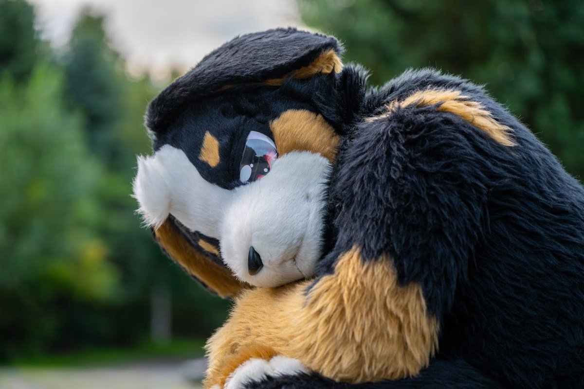 ふうた【futa】 tweet media