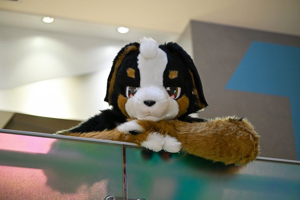 ふうた【futa】 tweet media