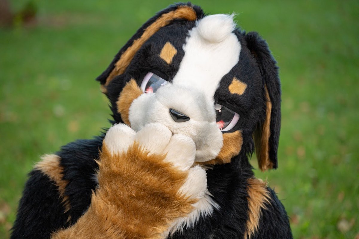 ふうた【futa】 tweet media