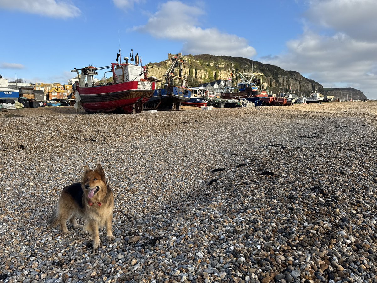 Luke Smith tweet media