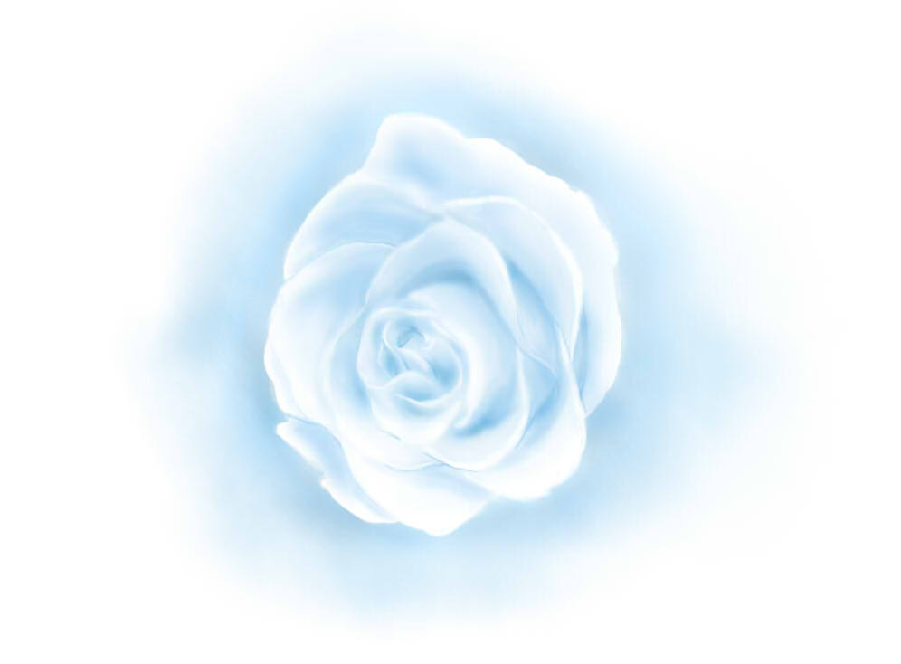 Flerov (@r_o_v_u) on Twitter photo 