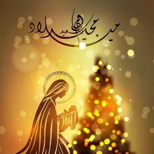 Saib Khidir (صائب خدر) tweet media