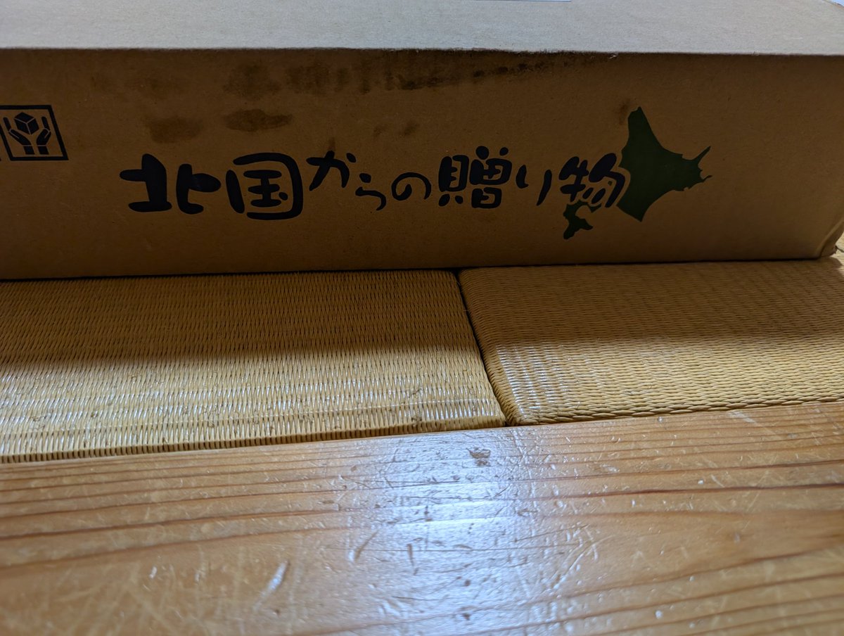 リトルママ tweet media