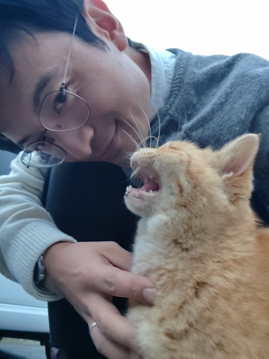 Oh, my dear Gansuke. You have a beautiful heart. Cats are cute too