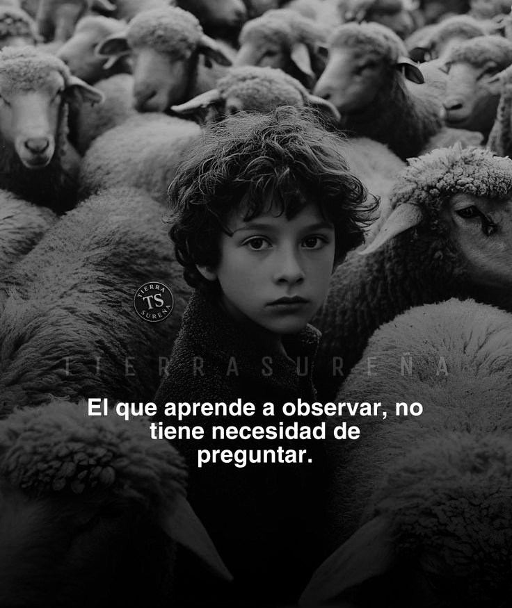 JorgeLuisRR1963's tweet image. TAL CUAL.