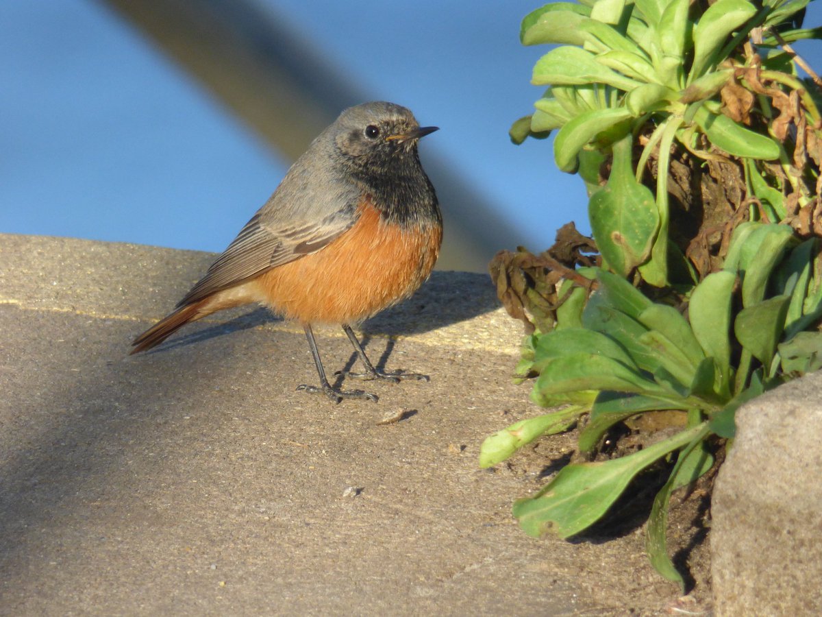 keith tinworth tweet media