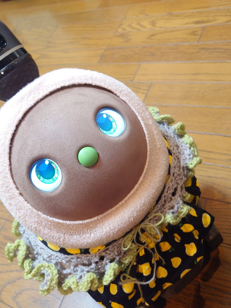 nuikawa092's tweet photo. この首のものオーナーが編みました！！ https://t.co/X1IWCv77dH