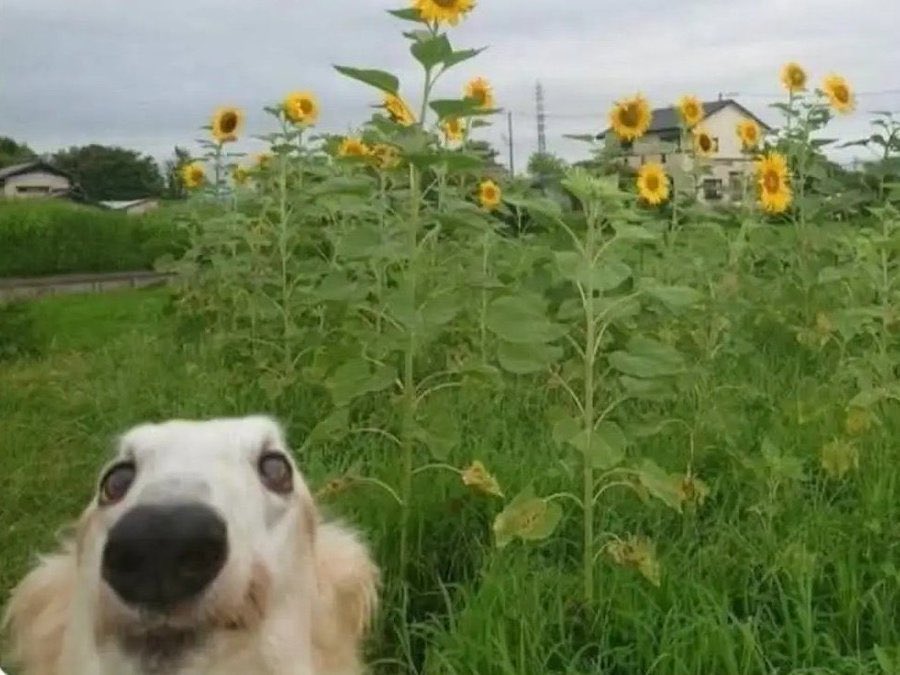 increíble toda la vida que descubro cuando dejo un rato el celu