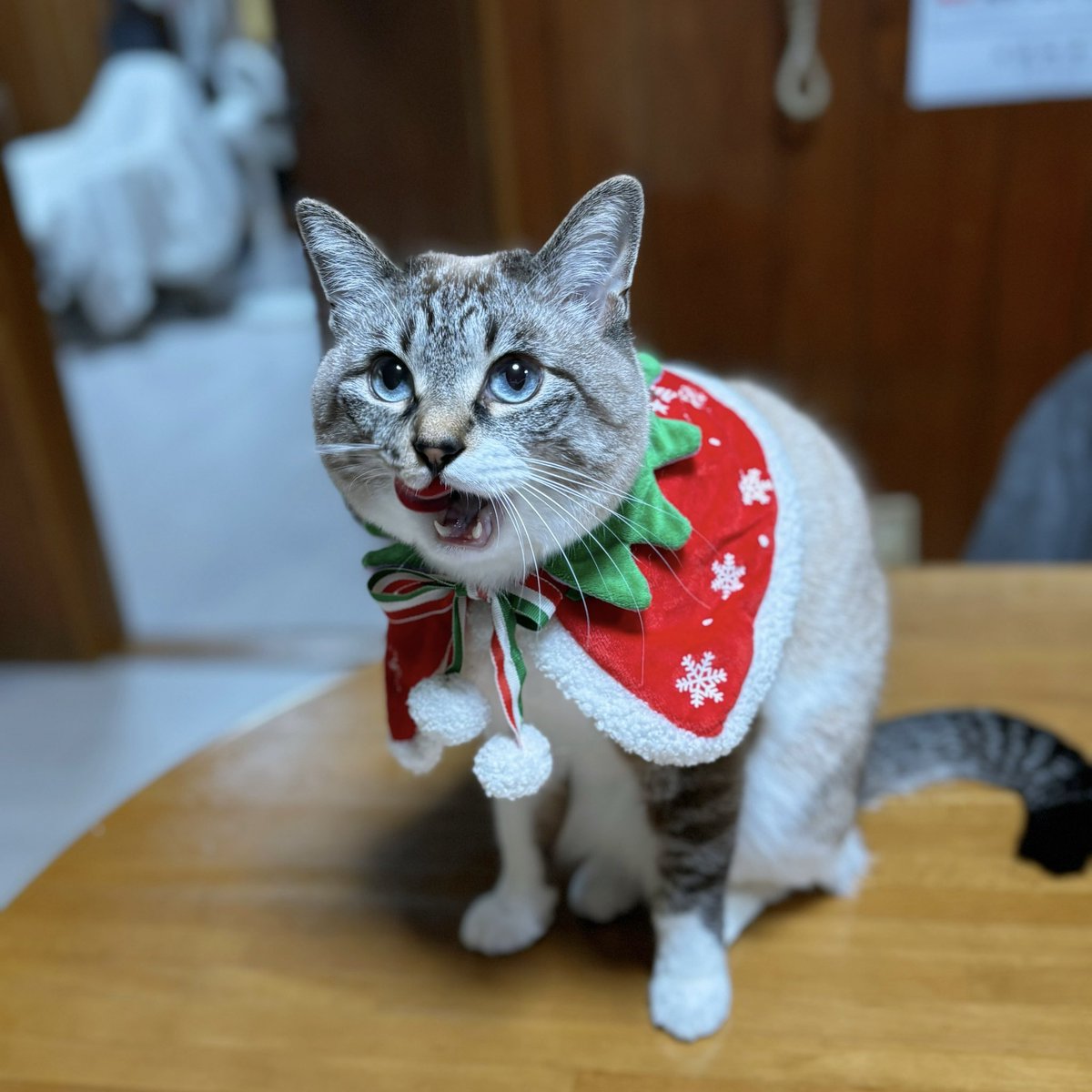 天使👼こめ (@0818kome) / Posts / X