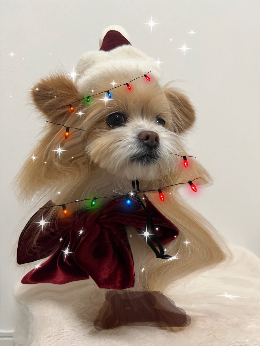 みみみりん (@mugi_cha03) / Posts / X