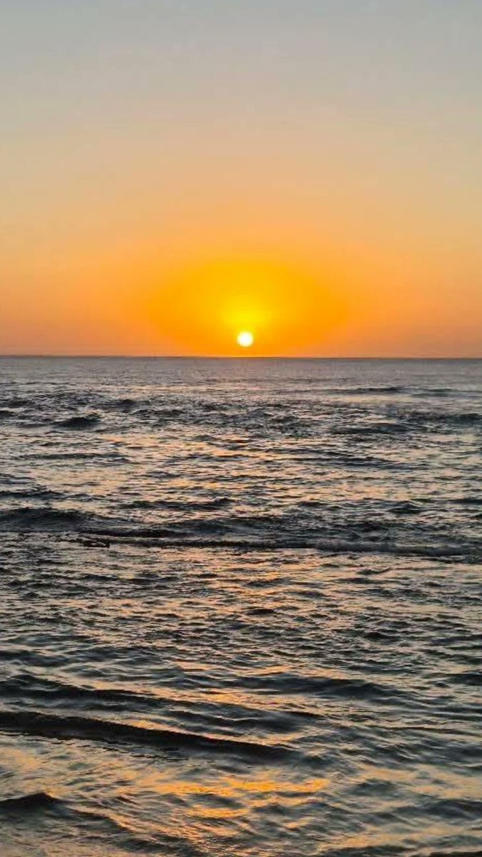 Jean Suriel tweet media