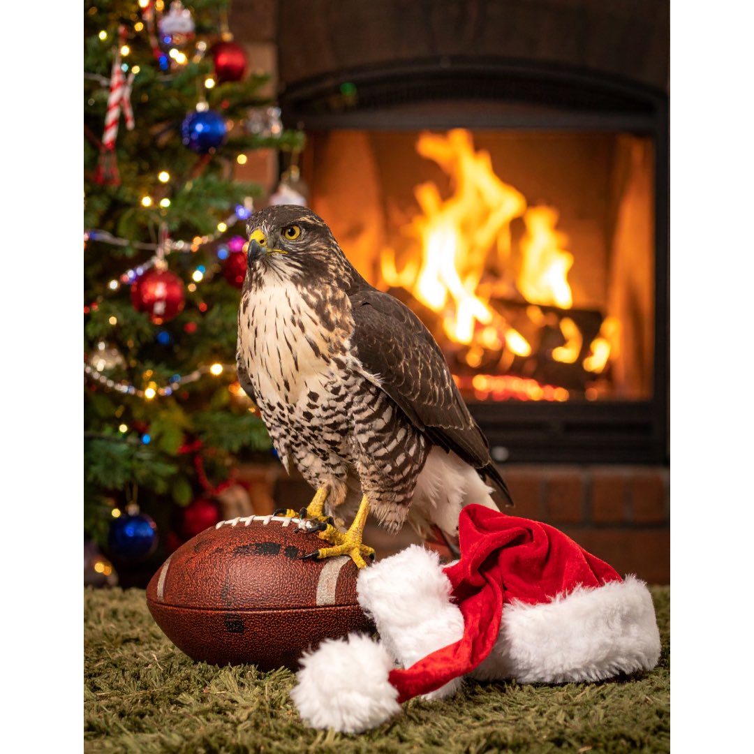 Lehigh Football Partnership tweet media