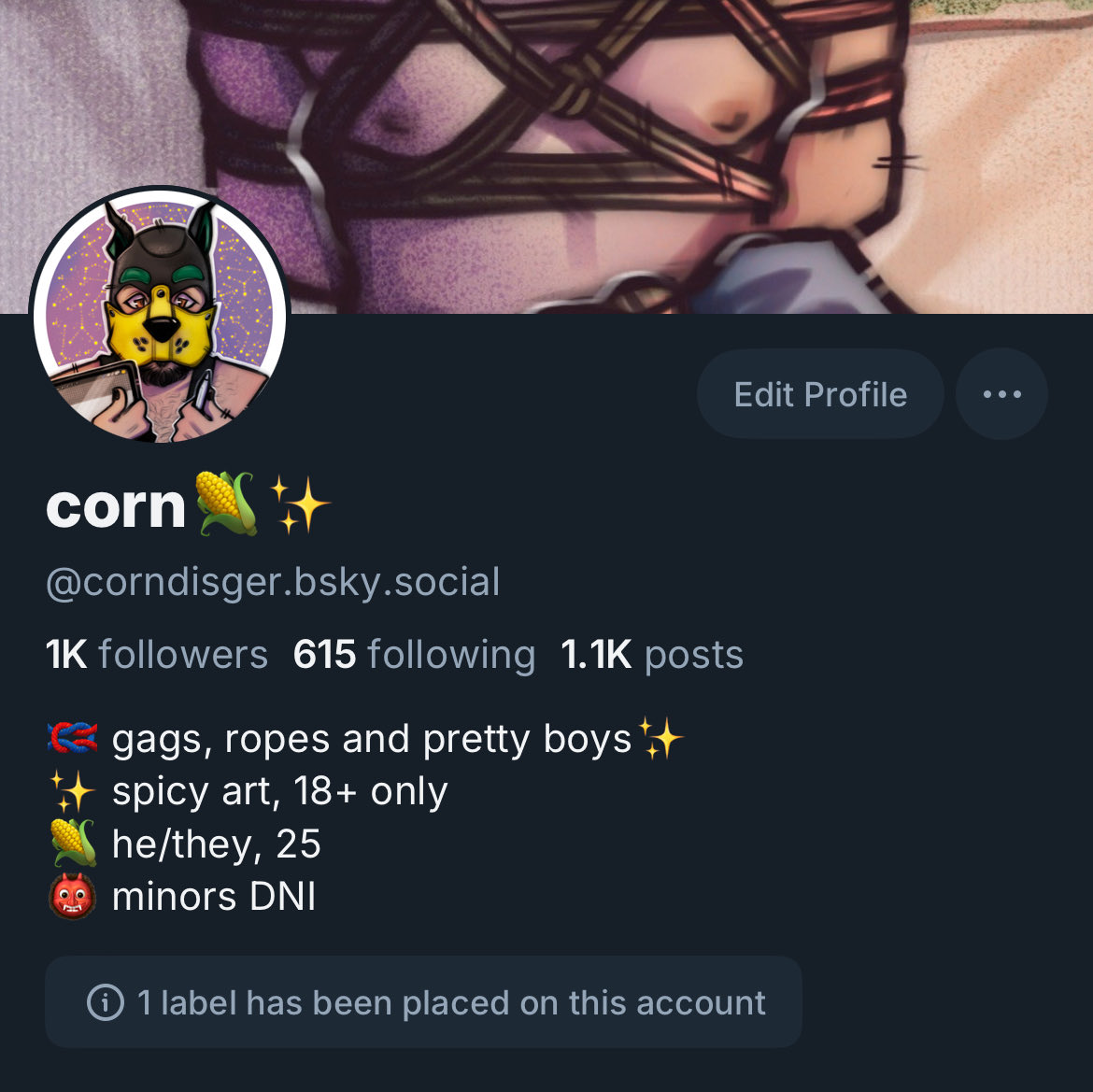 🌽corndisger.bsky.social ✨ tweet media
