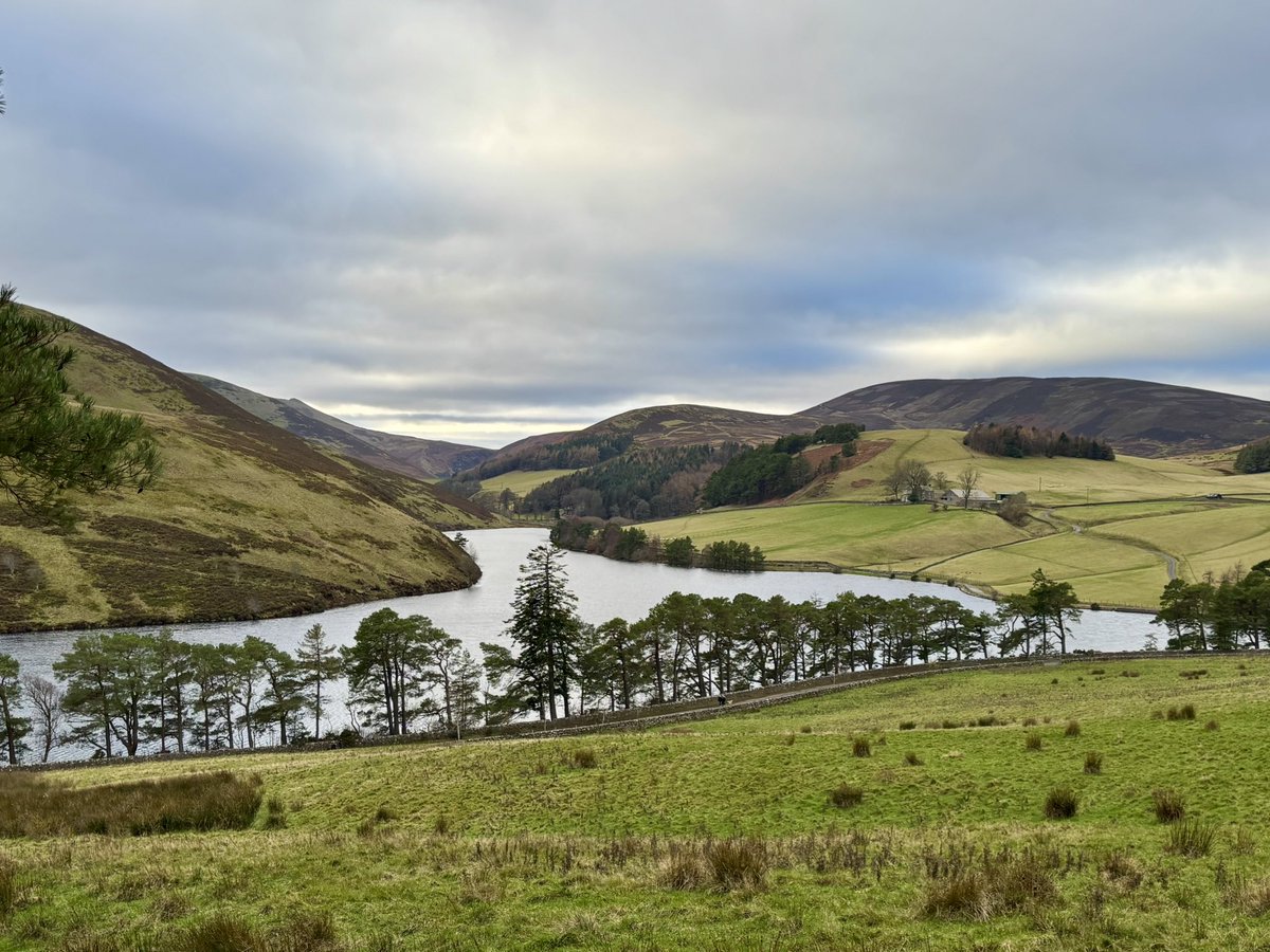 Gail Preston tweet media