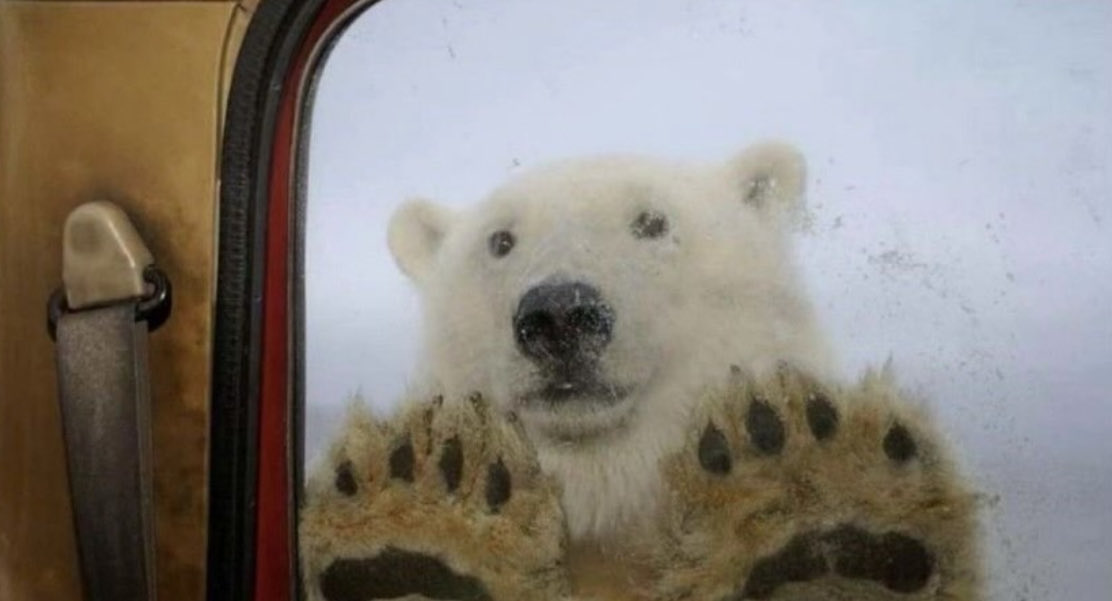 SoupCurator tweet media