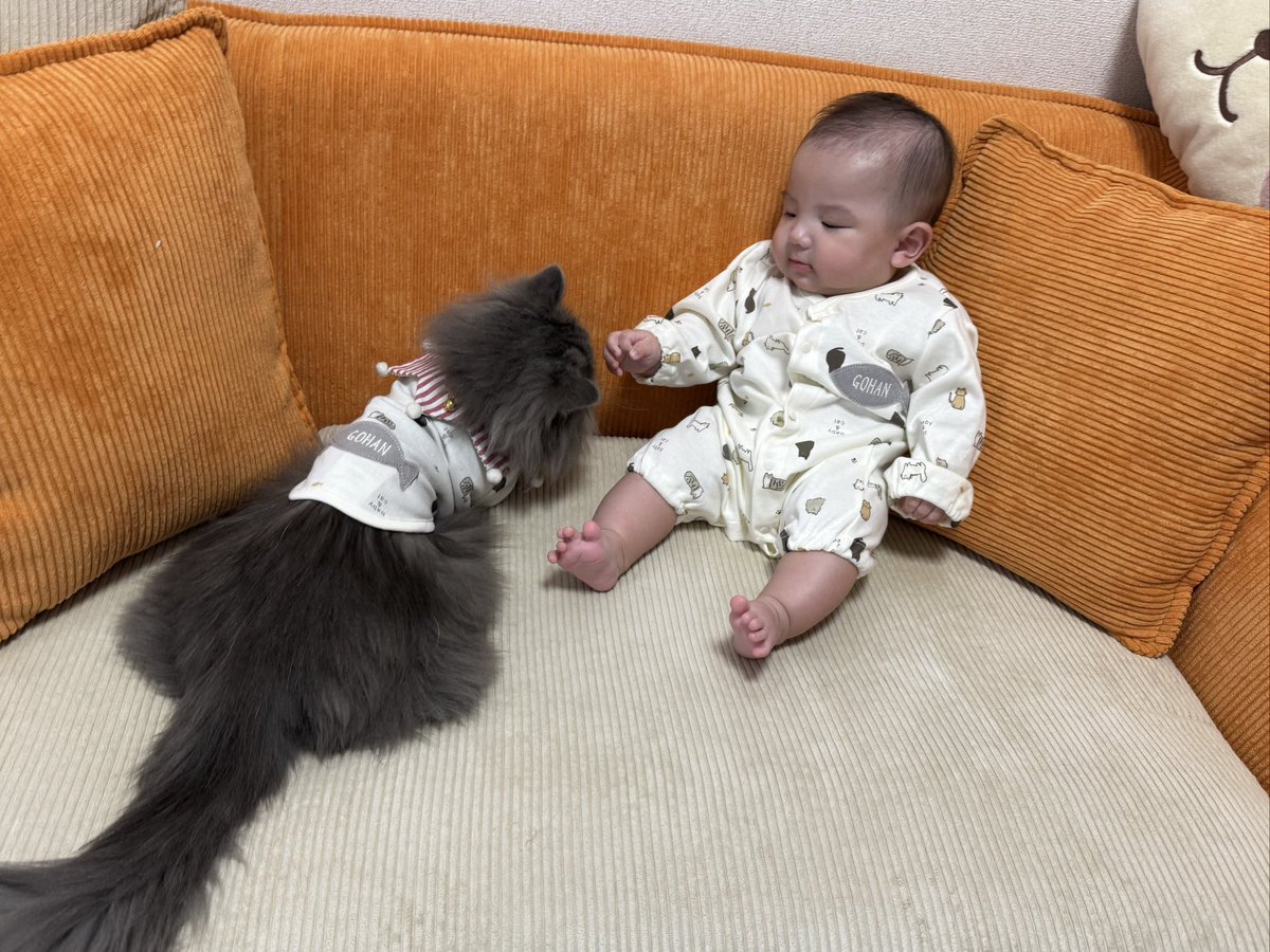 hakuro_0704's tweet photo. 甥っ子にけいちゃんサンタしてきた🎅✨
可愛い甥っ子に財布の紐ガバガバ🤦‍♀️💕 https://t.co/Es1oE5ftOH