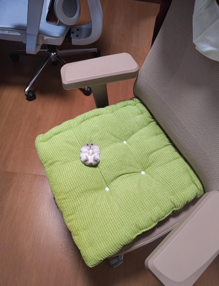 なおみ🍋 Next2月西2チ36ab (@703akam) / Posts / X