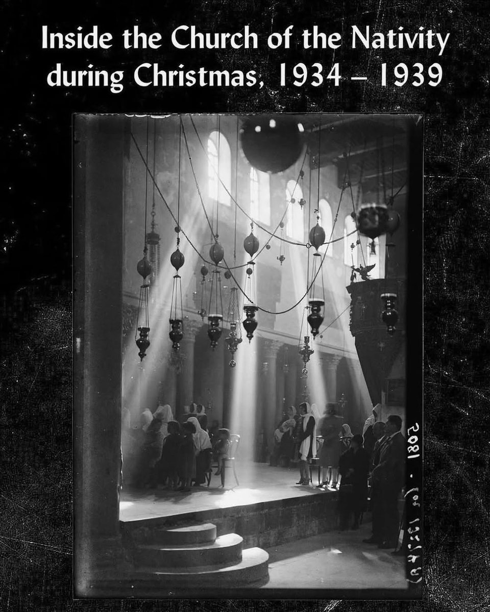 Jewish Voice for Peace tweet media