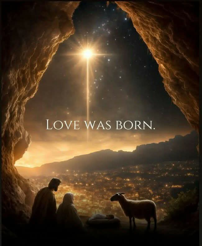 sscjusa's tweet image. 