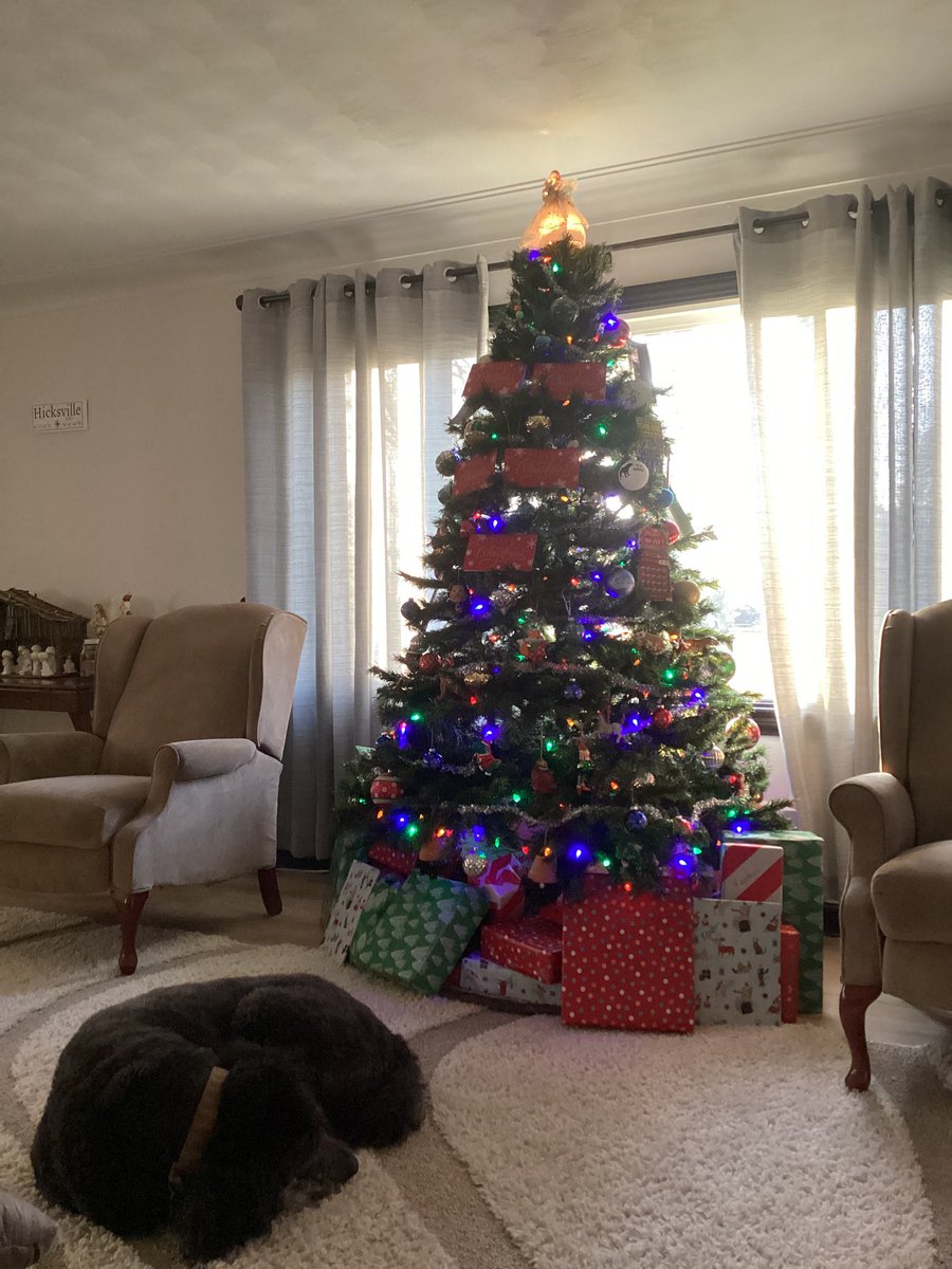 DefianceSBall's tweet image. We want to wish our team, school, administration, community, fans and our opposing teams a very Merry Christmas! May your Christmas wishes come true. @DefiBulldogs