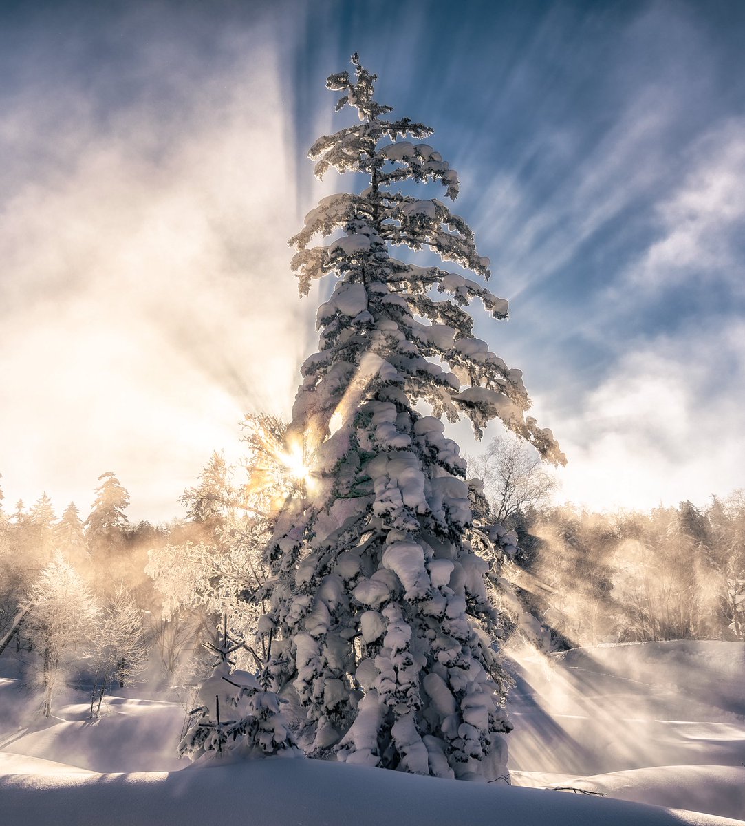 vincentschnabl's tweet image. Merry Christmas everyone 🎄🎅