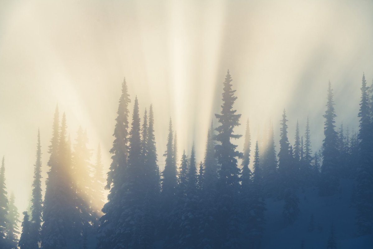 vincentschnabl's tweet image. Merry Christmas everyone 🎄🎅