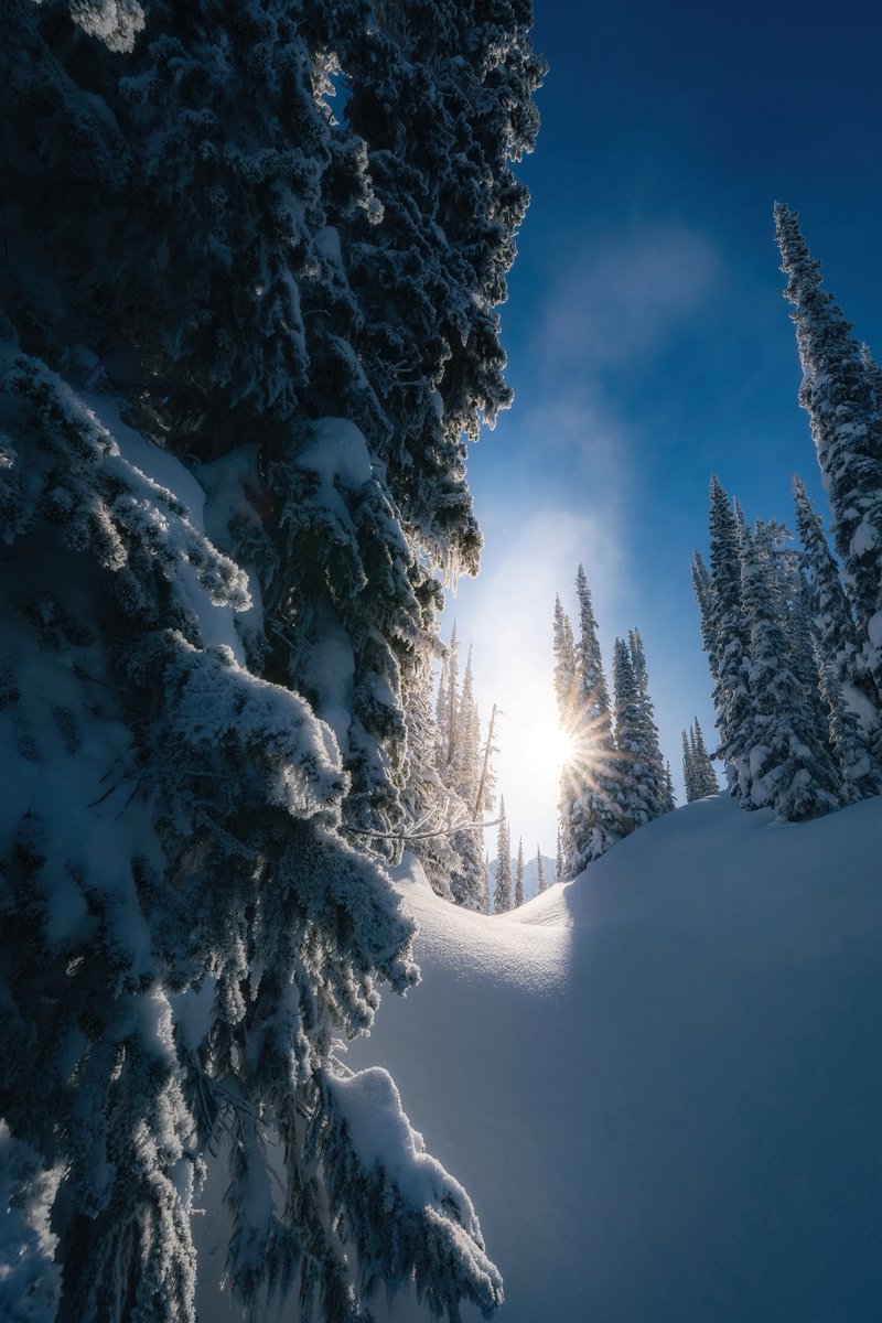 vincentschnabl's tweet image. Merry Christmas everyone 🎄🎅