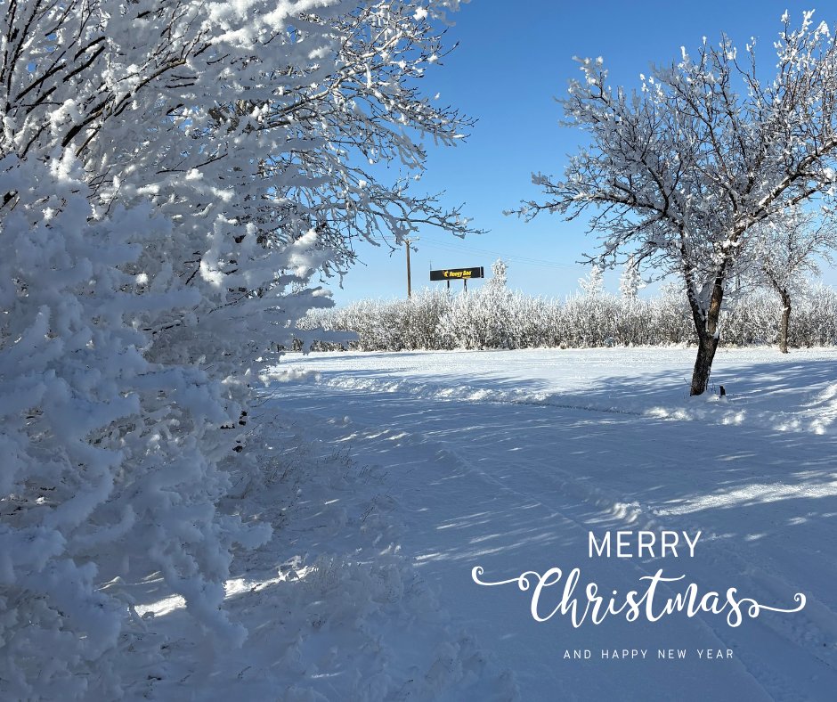 Honey Bee would like to wish you and yours a blessed Christmas and a Happy New Year!