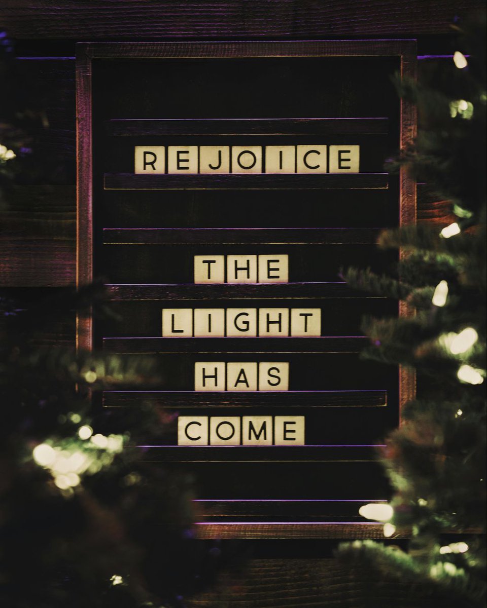 Seed to Oaks tweet media