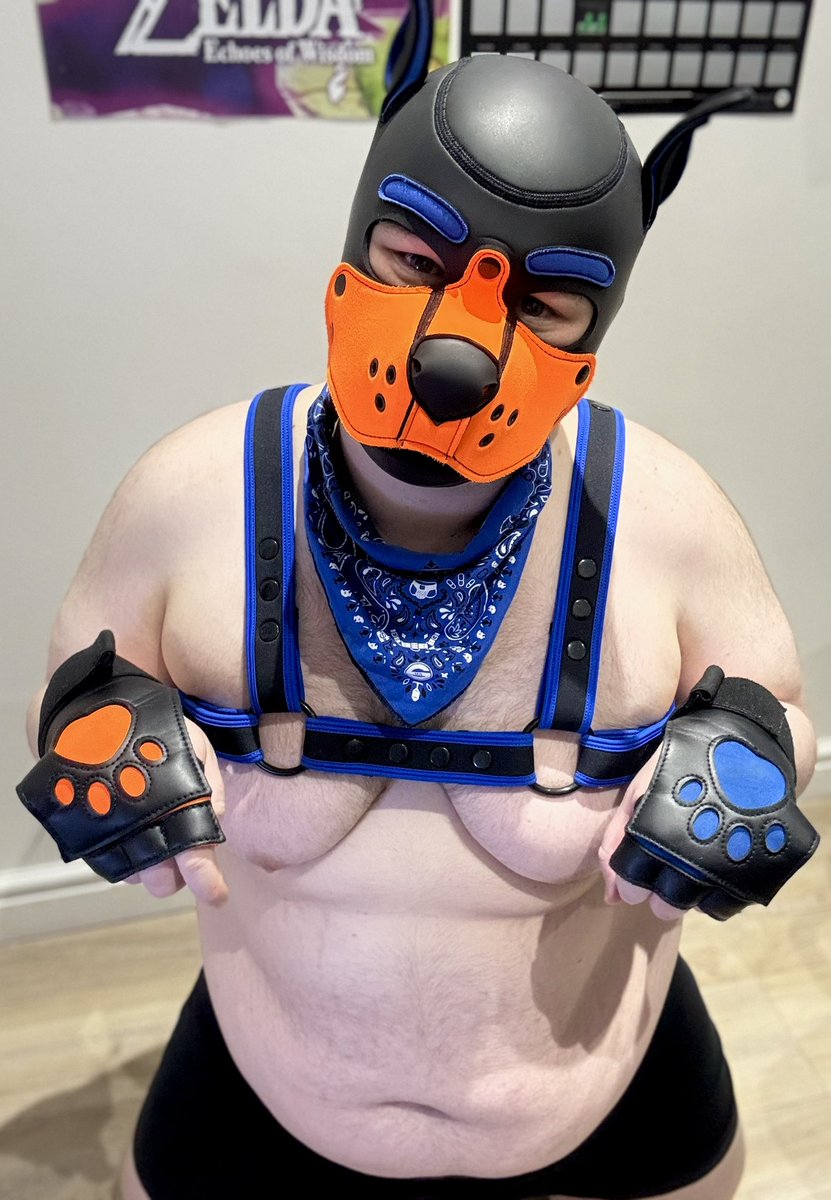 Merry Xmas 🎄 anyone ask for an obedient pup?