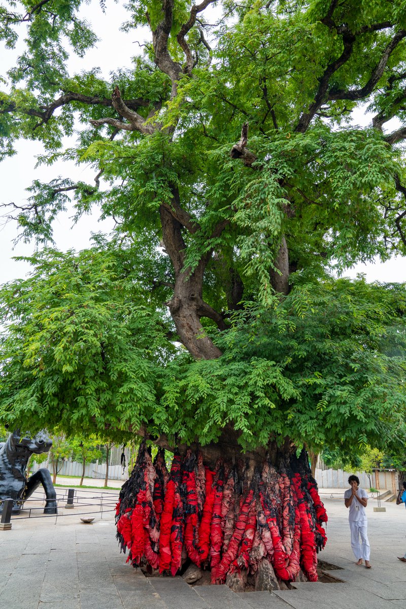 Rakesh Krishnan Simha tweet media