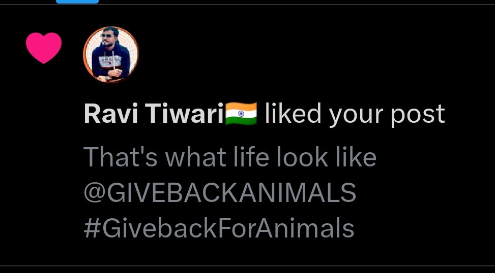 GIVEBACKANIMALS's tweet photo. @Ravitiwariii_ Thank you @Ravitiwariii_ ji for the love ❤️  

This pure innocence inspired us to spread more kindness to strays this Christmas 🐾  

सर्वे भवन्तु सुखिनः 🧡  

#GivebackForAnimals❤️
@GIVEBACKANIMALS https://t.co/5yUMcXmI77