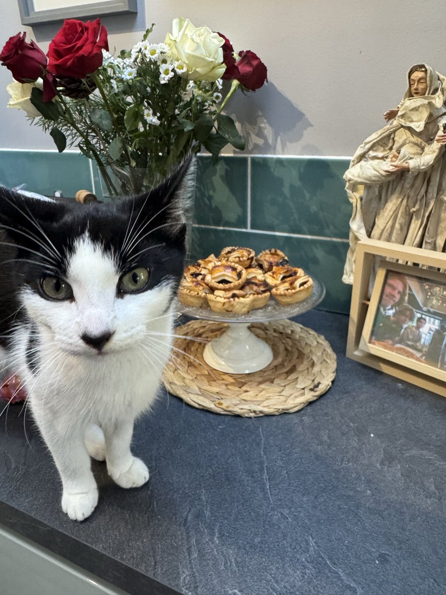 JonWhite 🦩 tweet media