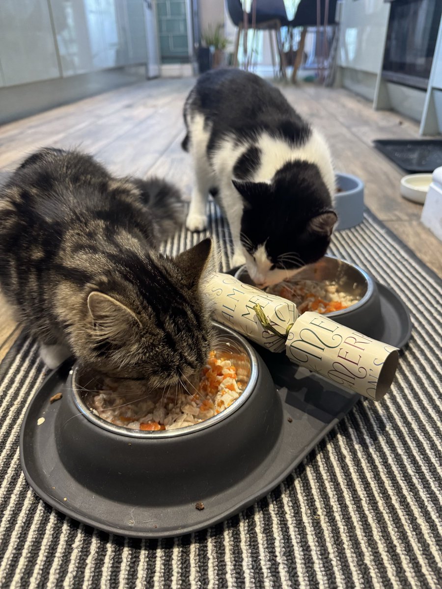 JonWhite 🦩 tweet media