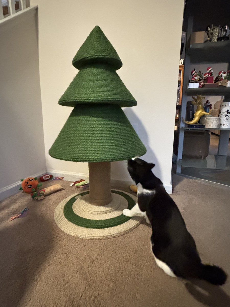 nurze24's tweet photo. Merry Christmas from Batman. https://t.co/9nW2WteElj