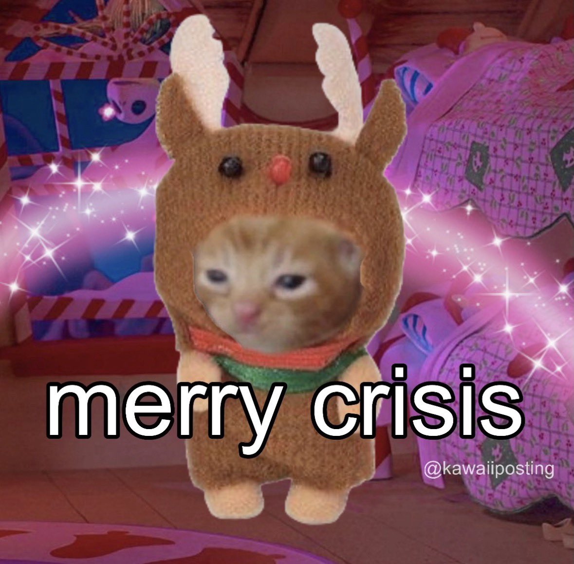 Memy cristmois chaaaateh! nyyyaaaaa ⋆⁺❅⋆₊❆⋆𐙚