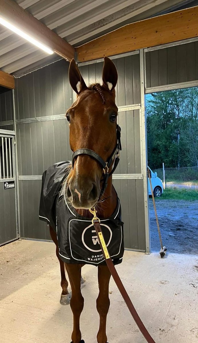 Bergsåker 19 december vinnare lopp 2 Shogun R.R.! 

Segertid: 16,0 2660m
Ägare: Bro Byggnads AB &amp; Sandberg Runar
Skötare: Johanna Nordin