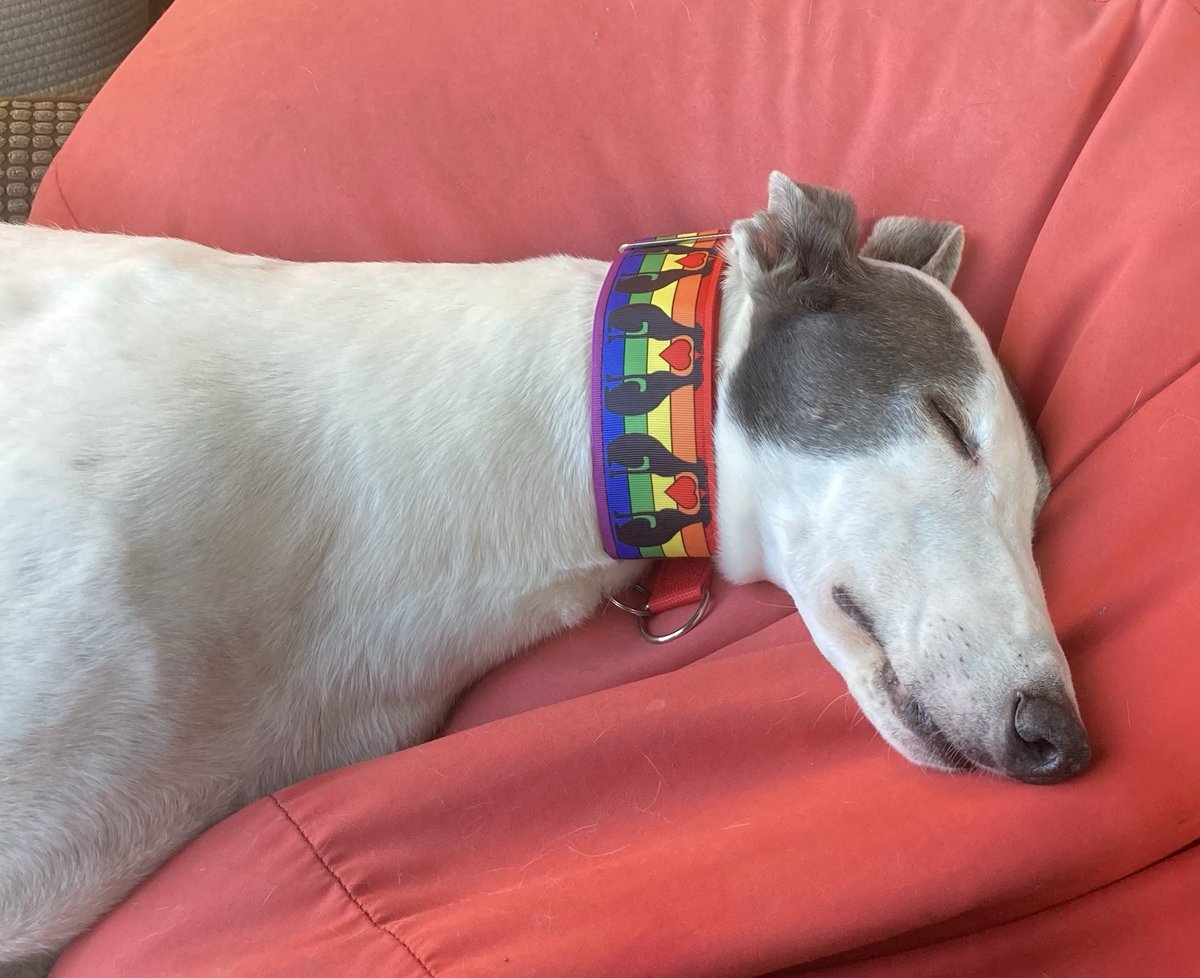 archangel tweet media