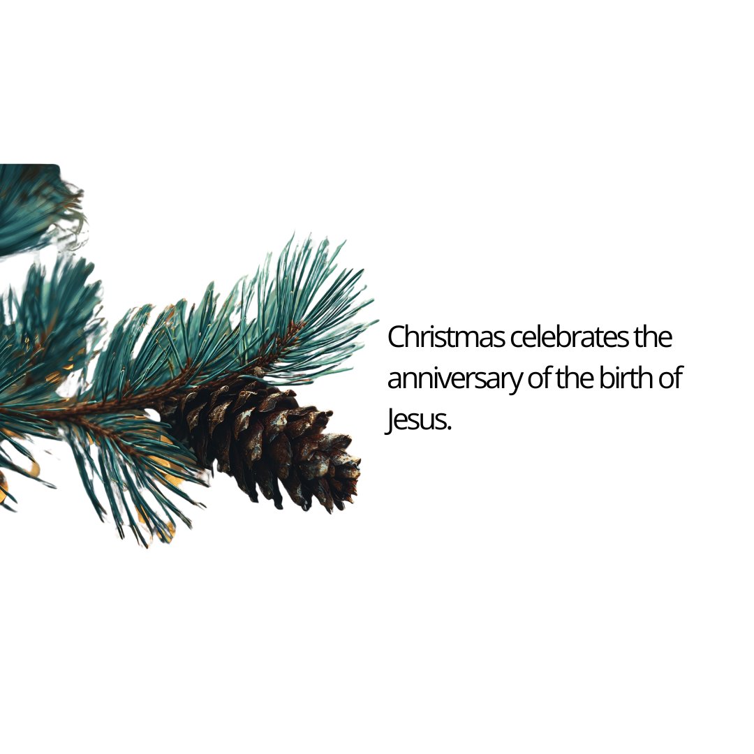 TDSB Community Services tweet media