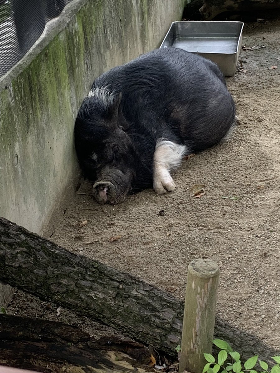 天上天下の天ちゃん (@kakohakie) / Posts / X