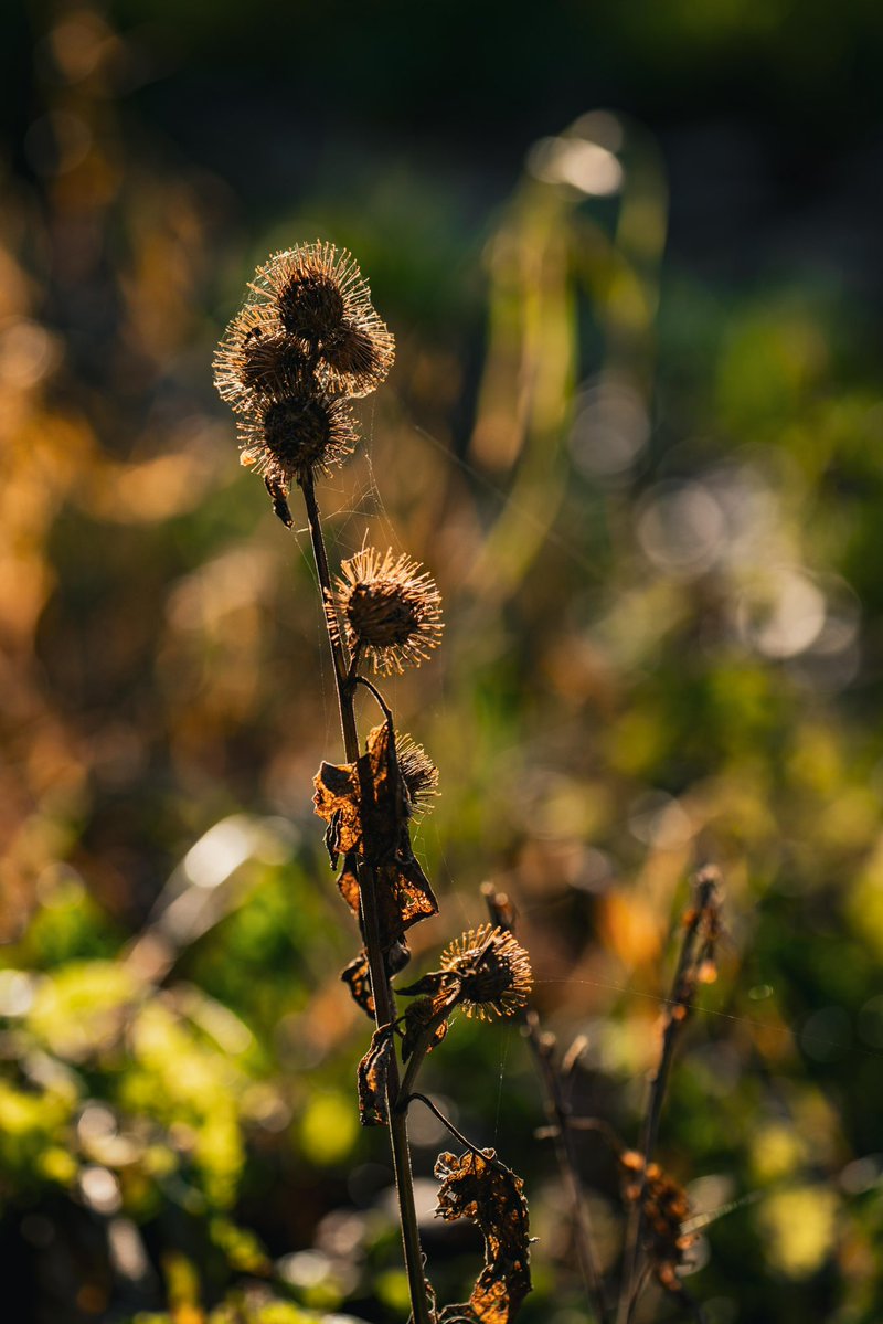 #koud in de polder 🥶