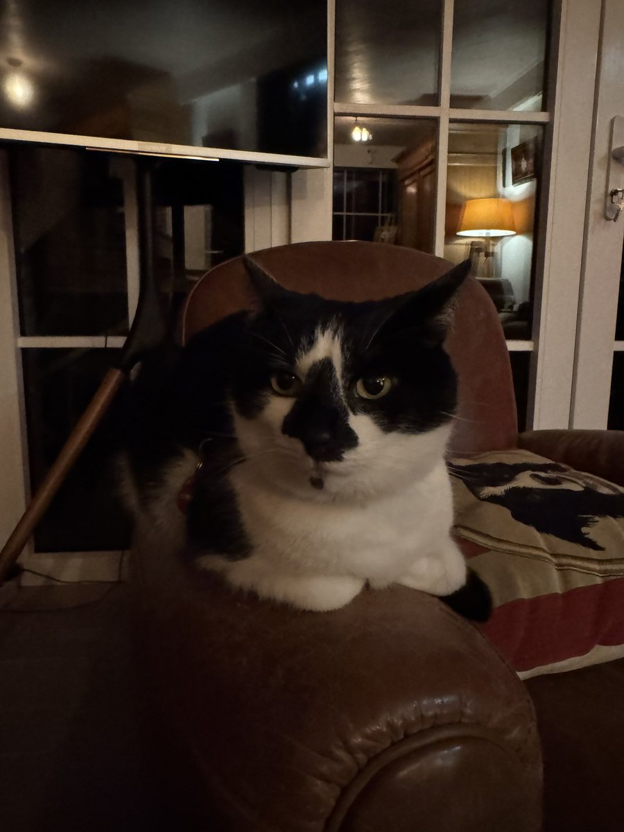 聖誕快樂，喜提一個感冒，不嘻嘻…
一年又要過完啦，明年的我一定會更棒的！